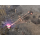 PC Warhammer 40,000: Dawn of War – Definitive Edition Deluxe - 1525068 - zdjęcie 5